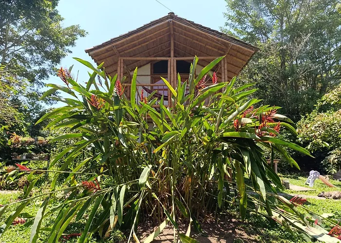 Casa Entera Finca Cometa