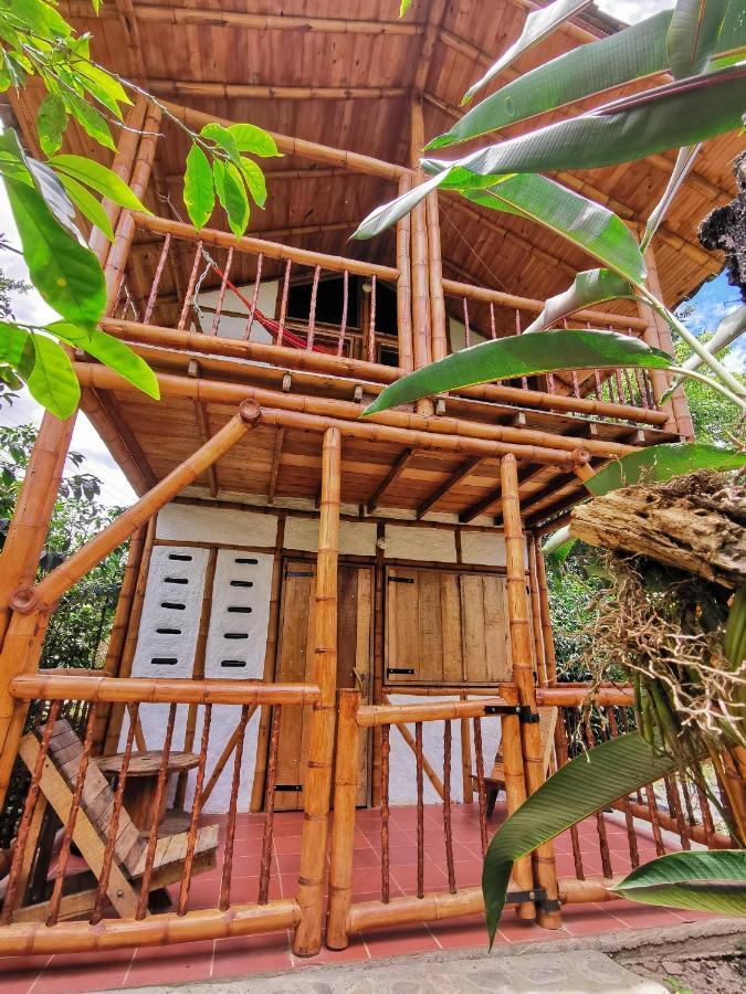 Casa Entera Cometa
