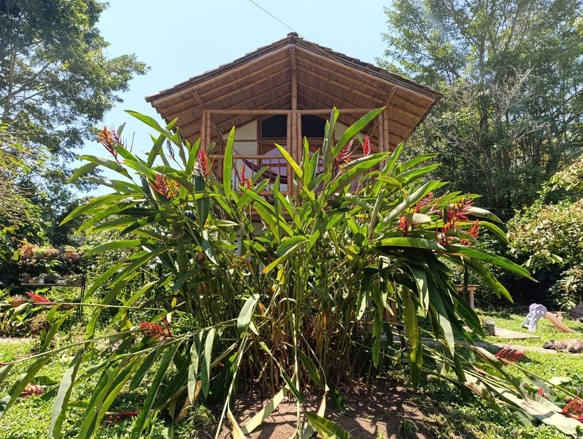 Casa Entera Cometa * San Agustin (Huila)
